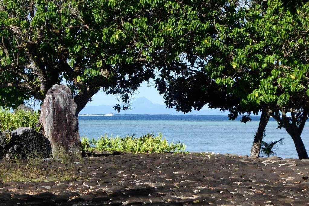 Raiatea, Opoa, Studio Du Fare Reve, Acces Mer Privatif Kültér fotó