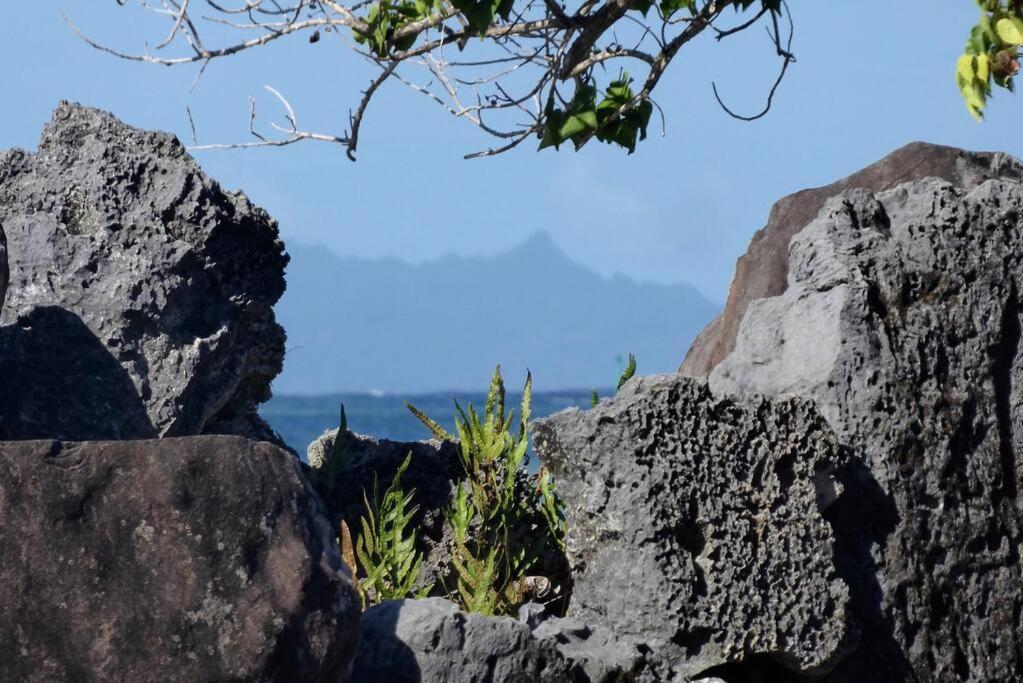 Raiatea, Opoa, Studio Du Fare Reve, Acces Mer Privatif Kültér fotó
