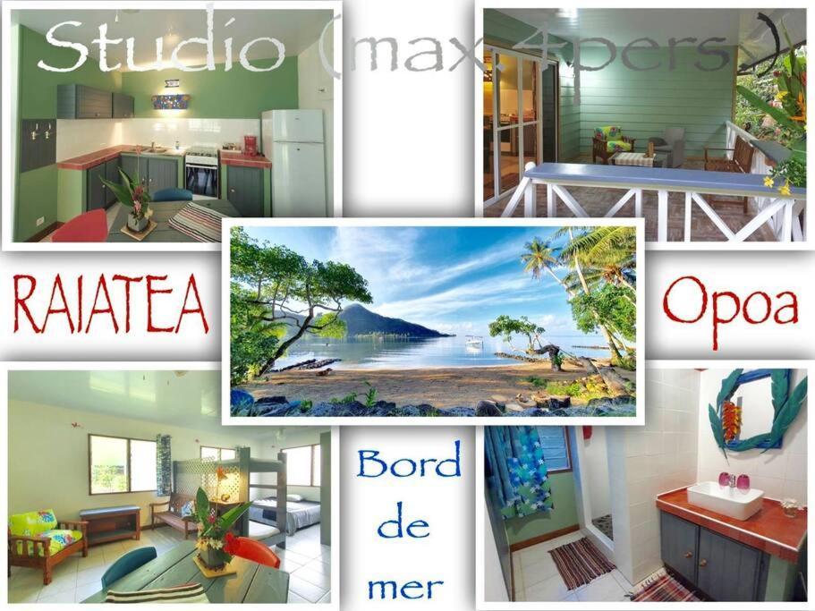 Raiatea, Opoa, Studio Du Fare Reve, Acces Mer Privatif Kültér fotó