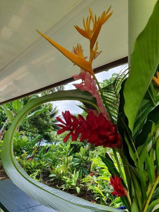 Raiatea, Opoa, Studio Du Fare Reve, Acces Mer Privatif Kültér fotó