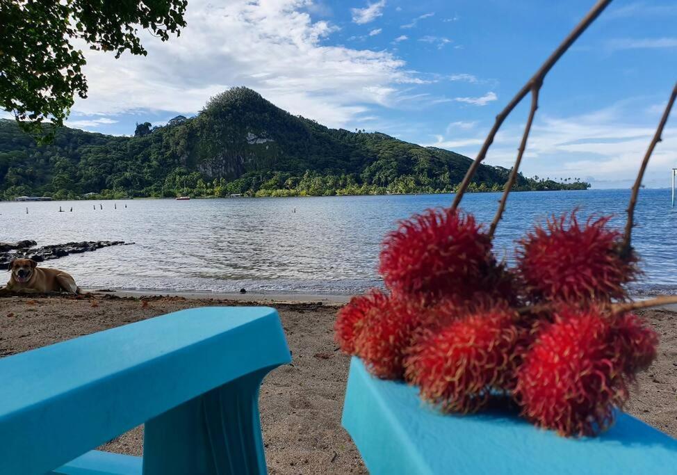 Raiatea, Opoa, Studio Du Fare Reve, Acces Mer Privatif Kültér fotó